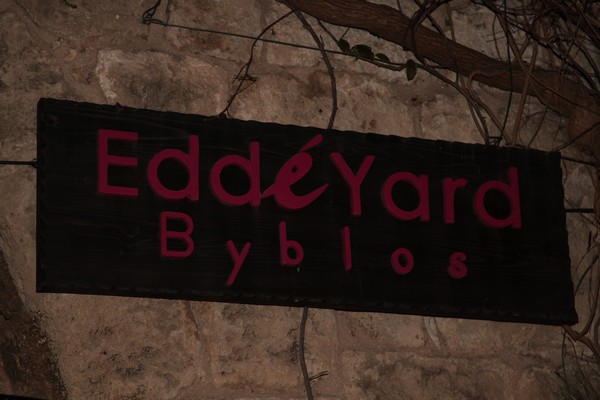 New Year's Eve at Edde Yard